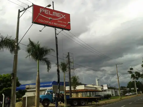 Painel vermelho da Pelmex em poste, visto de baixo com palmeiras ao lado